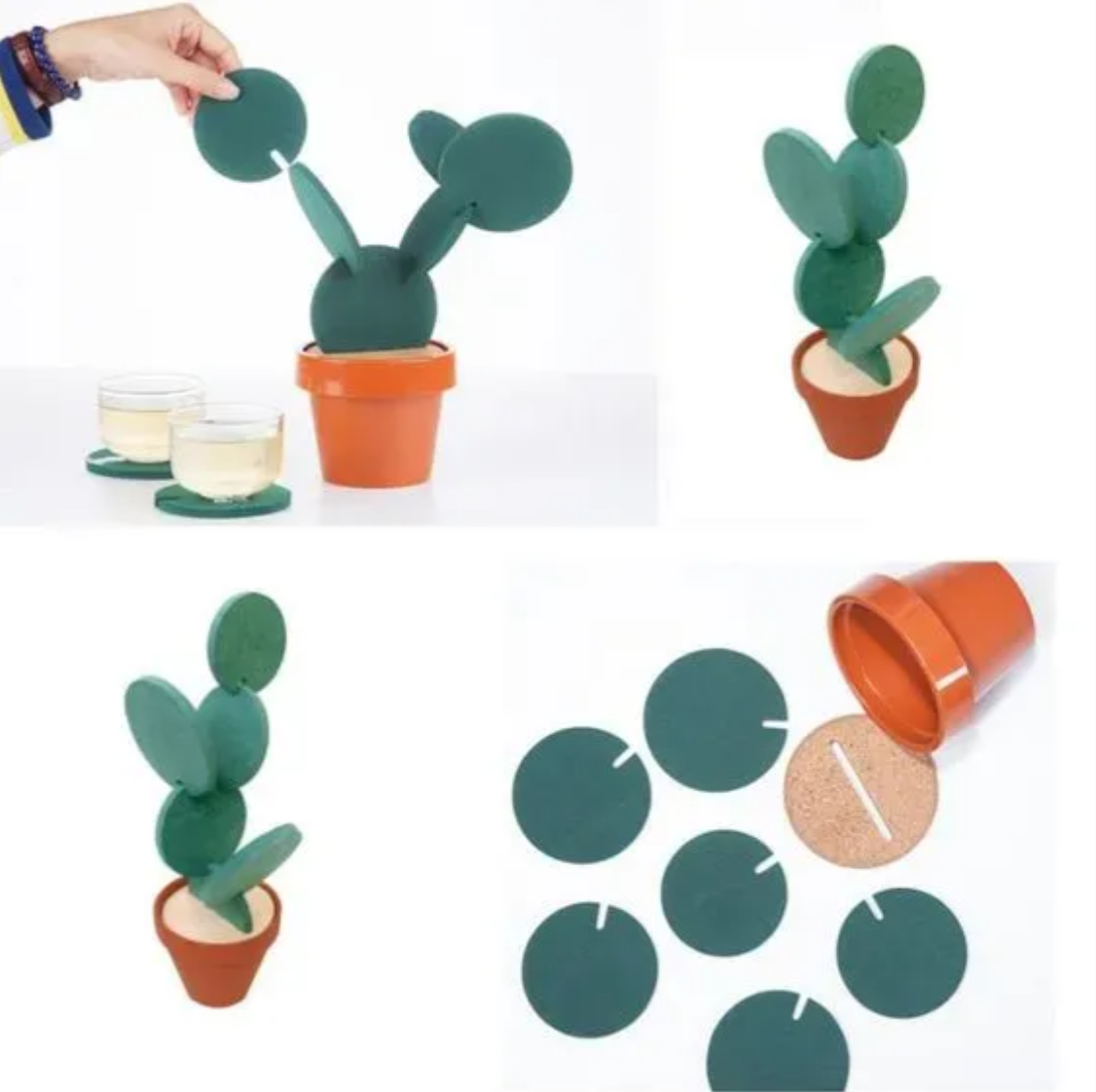 Cactus coasters
